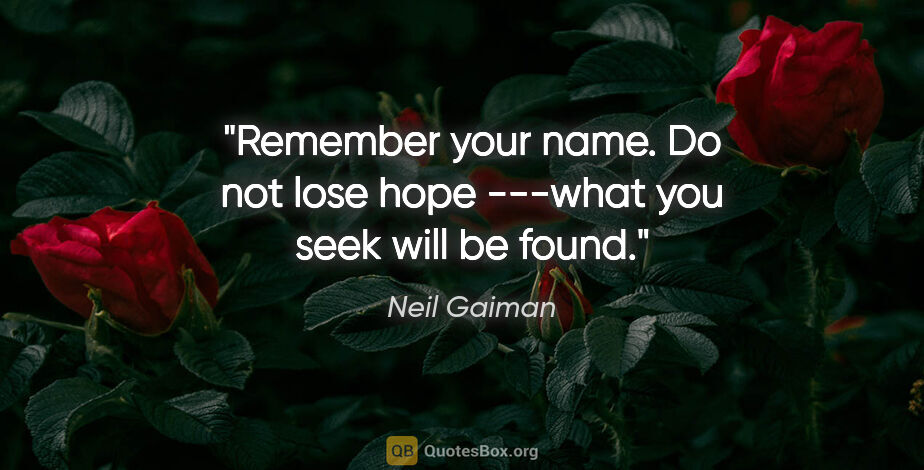 Neil Gaiman quote: "Remember your name. Do not lose hope ---what you seek will be..."