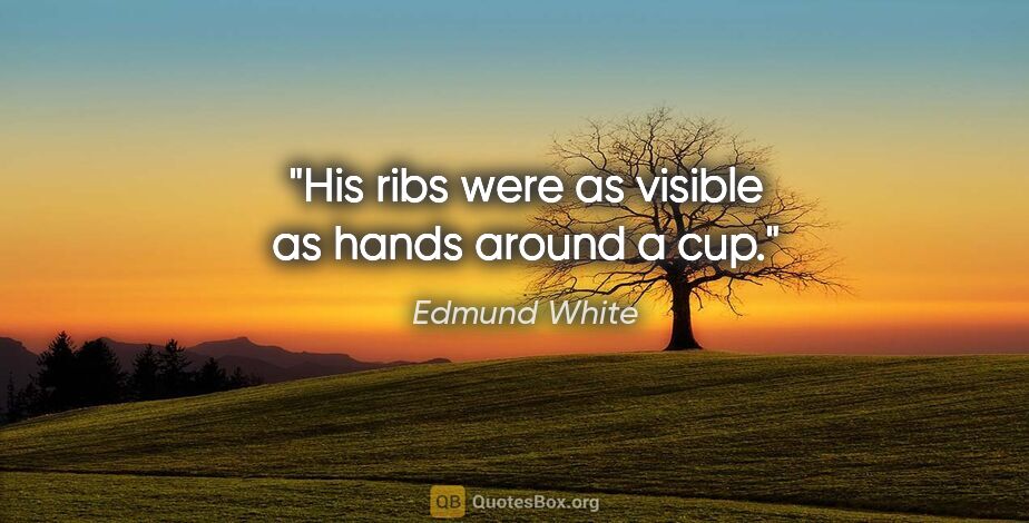 Edmund White quote: "His ribs were as visible as hands around a cup."