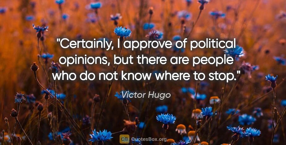 Victor Hugo quote: "Certainly, I approve of political opinions, but there are..."