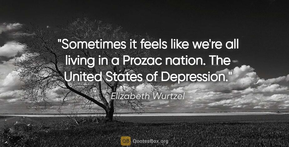 Elizabeth Wurtzel quote: "Sometimes it feels like we're all living in a Prozac nation...."