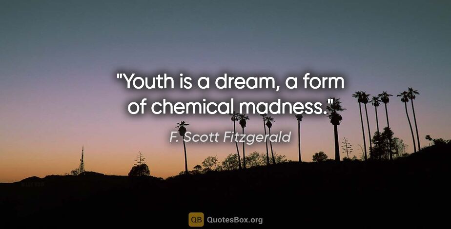 F. Scott Fitzgerald quote: "Youth is a dream, a form of chemical madness."