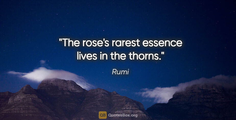 Rumi quote: "The rose's rarest essence lives in the thorns."