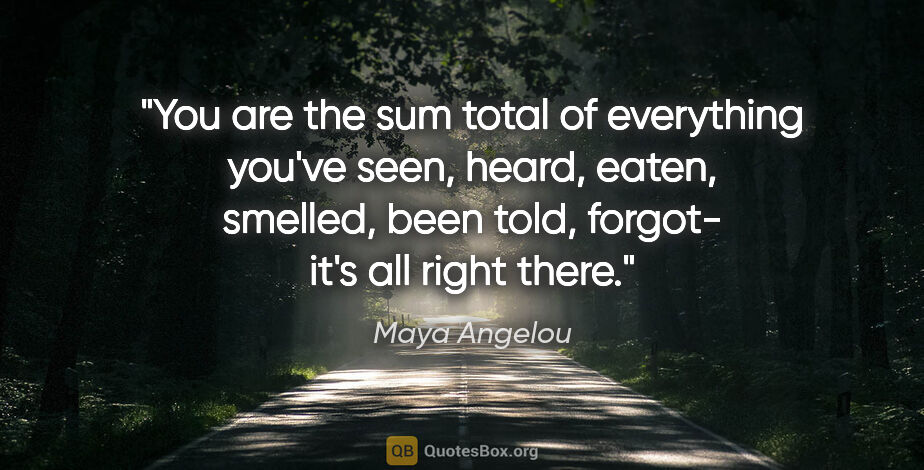 Maya Angelou quote: "You are the sum total of everything you've seen, heard, eaten,..."