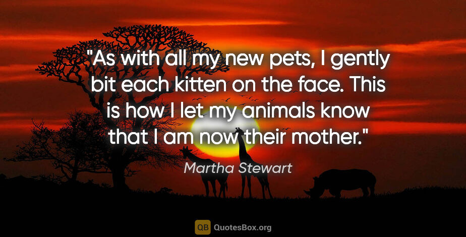 Martha Stewart quote: "As with all my new pets, I gently bit each kitten on the face...."