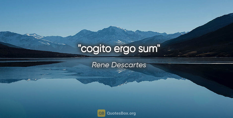 Rene Descartes quote: "cogito ergo sum"