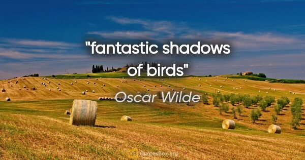 Oscar Wilde quote: "fantastic shadows of birds"