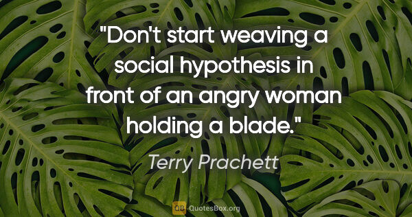 Terry Prachett quote: "Don't start weaving a social hypothesis in front of an angry..."