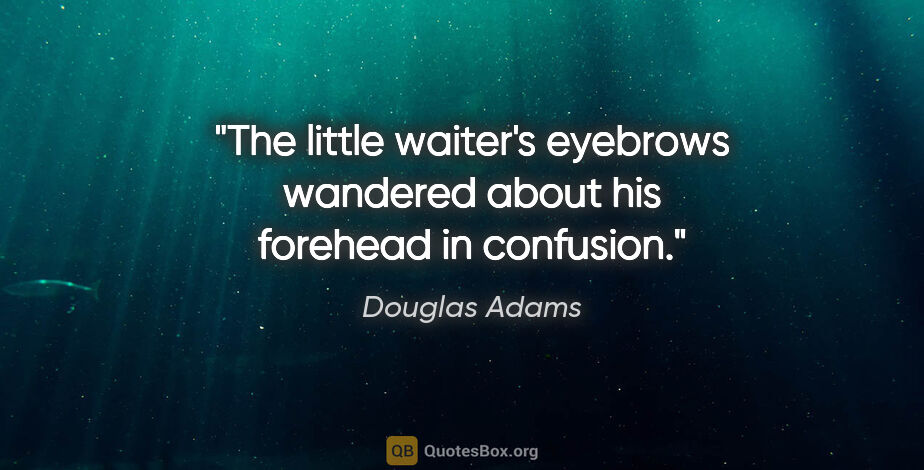Douglas Adams quote: "The little waiter's eyebrows wandered about his forehead in..."