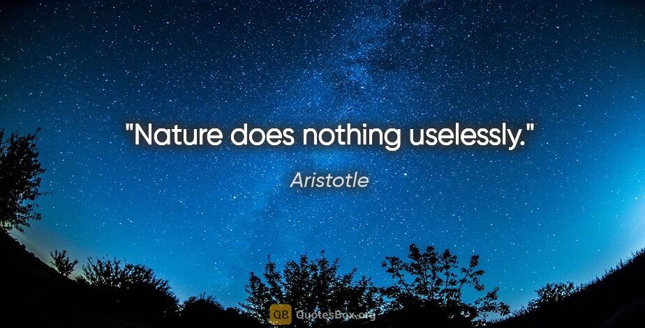 Aristotle quote: "Nature does nothing uselessly."