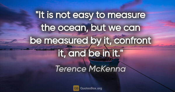 Terence McKenna quote: "It is not easy to measure the ocean, but we can be measured by..."