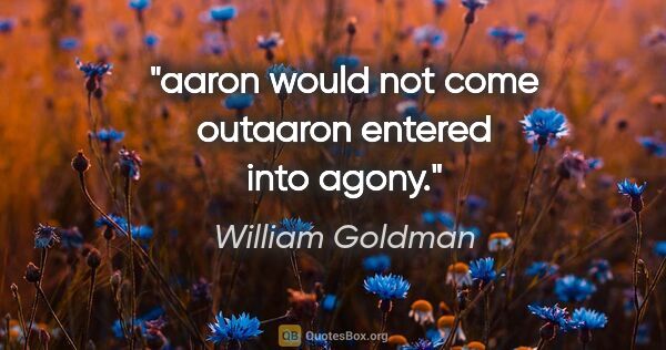 William Goldman quote: "aaron would not come outaaron entered into agony."