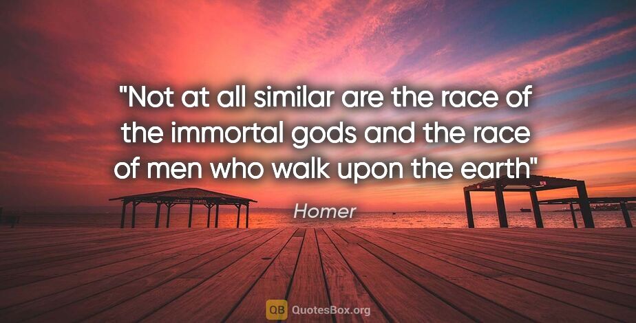 Homer quote: "Not at all similar are the race of the immortal gods and the..."