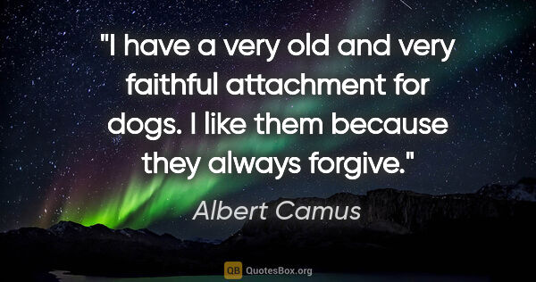 Albert Camus quote: "I have a very old and very faithful attachment for dogs. I..."