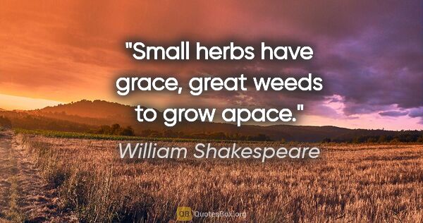 William Shakespeare quote: "Small herbs have grace, great weeds to grow apace."