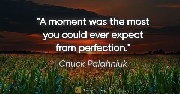 Chuck Palahniuk quote: "A moment was the most you could ever expect from perfection."