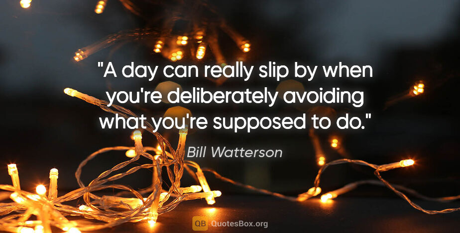 Bill Watterson quote: "A day can really slip by when you're deliberately avoiding..."