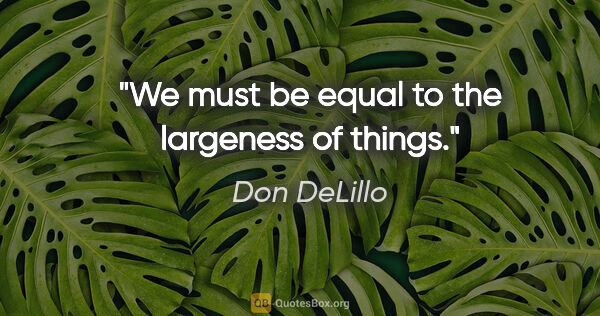 Don DeLillo quote: "We must be equal to the largeness of things."