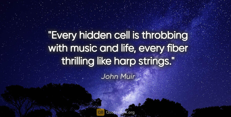 John Muir quote: "Every hidden cell is throbbing with music and life, every..."