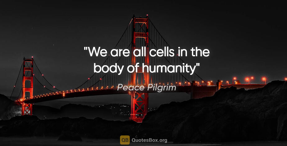 Peace Pilgrim quote: "We are all cells in the body of humanity"