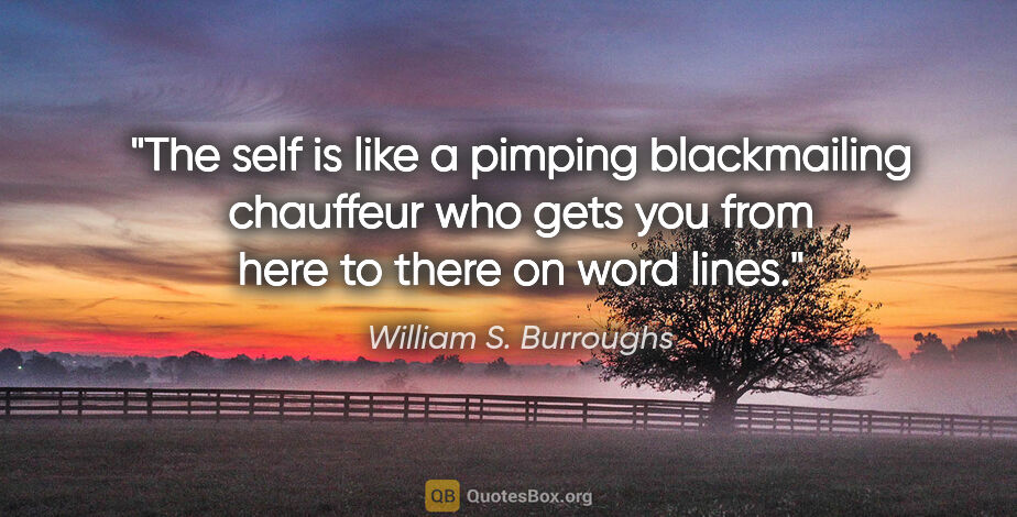 William S. Burroughs quote: "The self is like a pimping blackmailing chauffeur who gets you..."