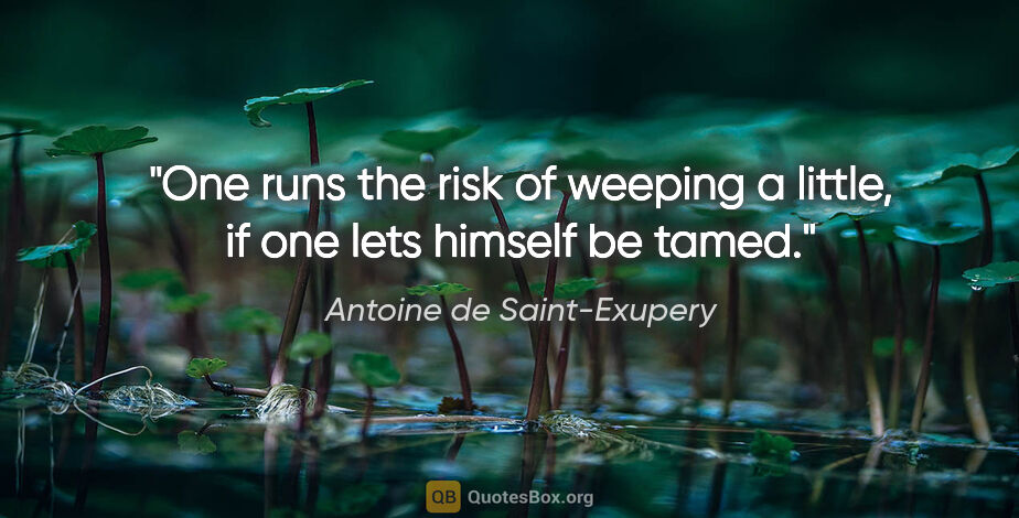 Antoine de Saint-Exupery quote: "One runs the risk of weeping a little, if one lets himself be..."