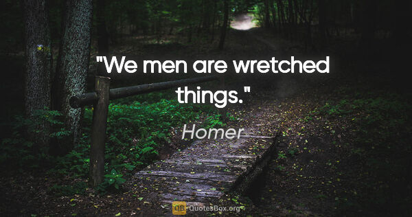 Homer quote: "We men are wretched things."