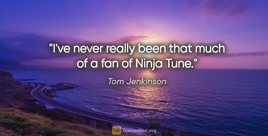 Tom Jenkinson quote: "I've never really been that much of a fan of Ninja Tune."