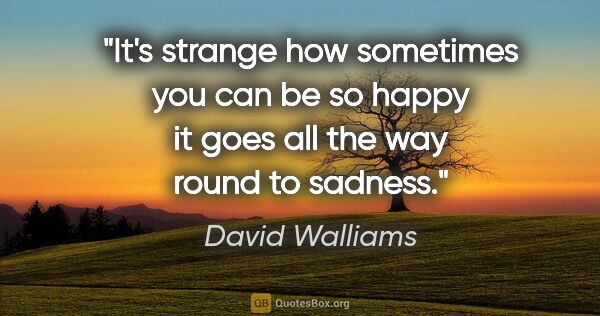David Walliams quote: "It's strange how sometimes you can be so happy it goes all the..."