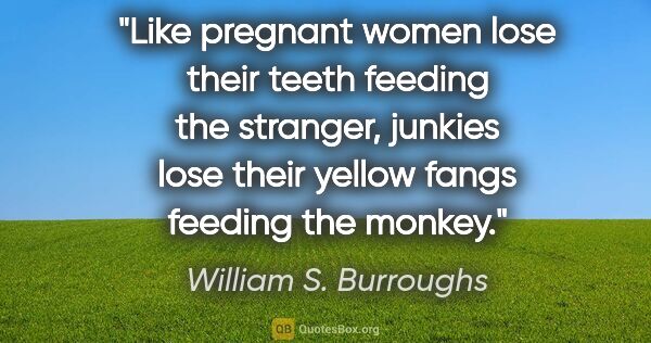 William S. Burroughs quote: "Like pregnant women lose their teeth feeding the stranger,..."