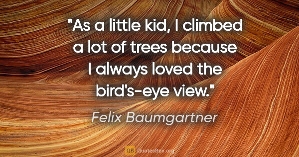 Felix Baumgartner quote: "As a little kid, I climbed a lot of trees because I always..."