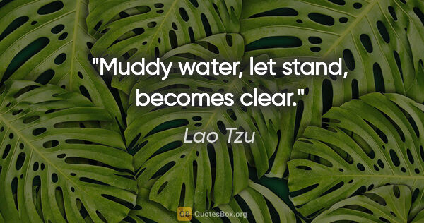 Lao Tzu quote: "Muddy water, let stand, becomes clear."