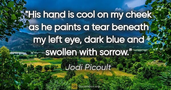Jodi Picoult quote: "His hand is cool on my cheek as he paints a tear beneath my..."