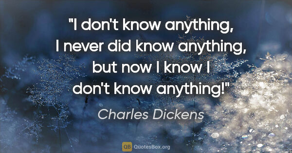Charles Dickens quote: "I don't know anything, I never did know anything, but now I..."