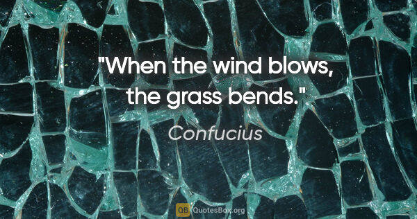 Confucius quote: "When the wind blows, the grass bends."