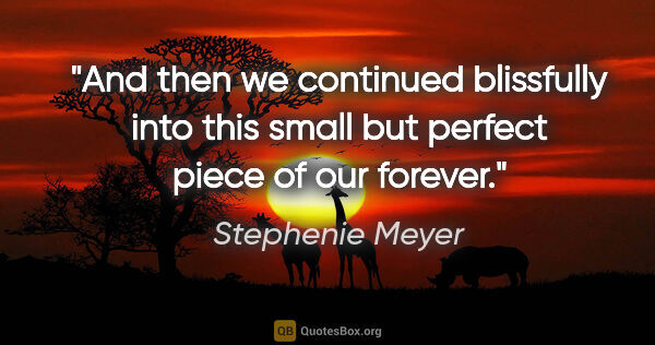 Stephenie Meyer quote: "And then we continued blissfully into this small but perfect..."