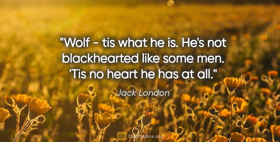 Jack London quote: "Wolf - tis what he is. He's not blackhearted like some men...."