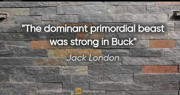 Jack London quote: "The dominant primordial beast was strong in Buck"