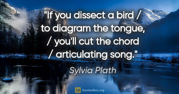 Sylvia Plath quote: "If you dissect a bird / to diagram the tongue, / you'll cut..."