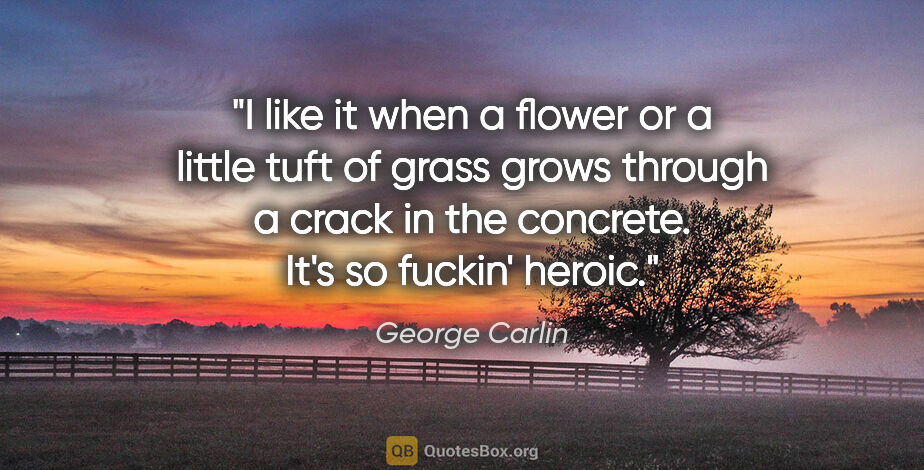 George Carlin quote: "I like it when a flower or a little tuft of grass grows..."