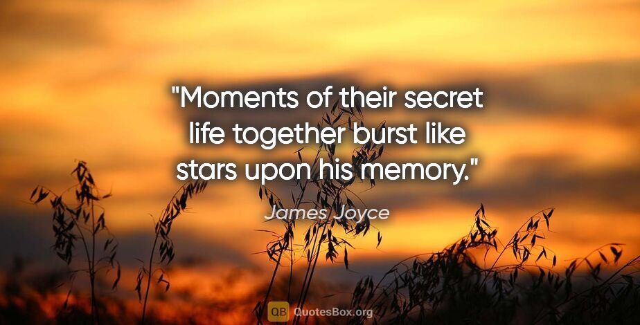 James Joyce quote: "Moments of their secret life together burst like stars upon..."