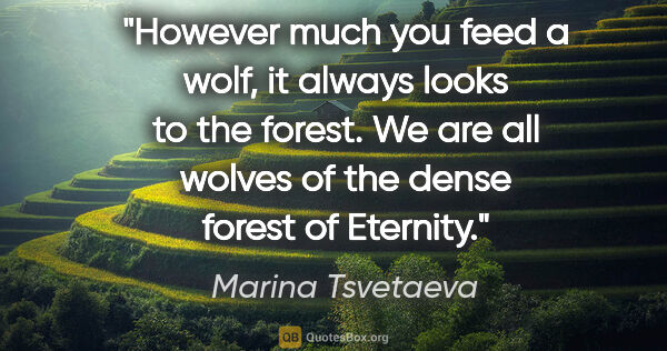 Marina Tsvetaeva quote: "However much you feed a wolf, it always looks to the forest...."