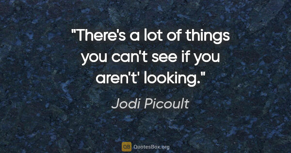 Jodi Picoult quote: "There's a lot of things you can't see if you aren't' looking."