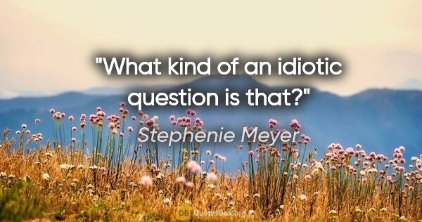 Stephenie Meyer quote: "What kind of an idiotic question is that?"