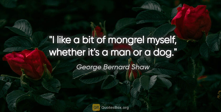 George Bernard Shaw quote: "I like a bit of mongrel myself, whether it's a man or a dog."