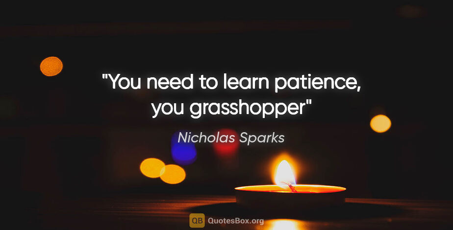 Nicholas Sparks quote: "You need to learn patience, you grasshopper"