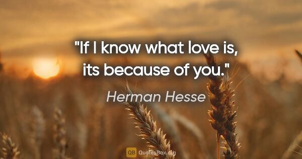 Herman Hesse quote: "If I know what love is, its because of you."