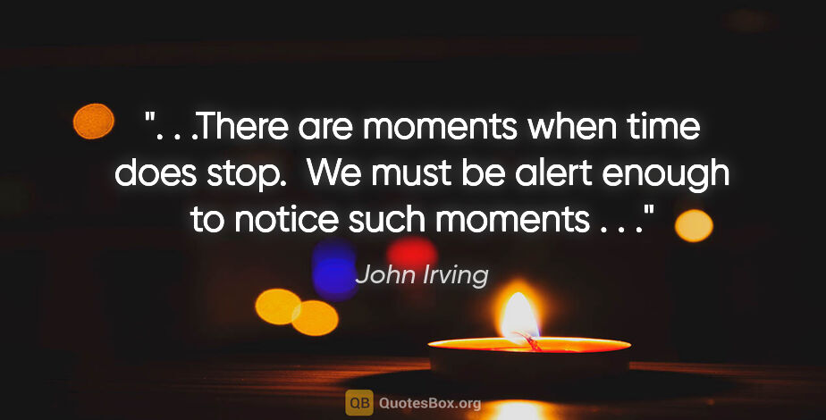 John Irving quote: " . .There are moments when time does stop.  We must be alert..."