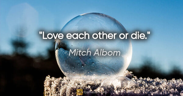 Mitch Albom quote: "Love each other or die."