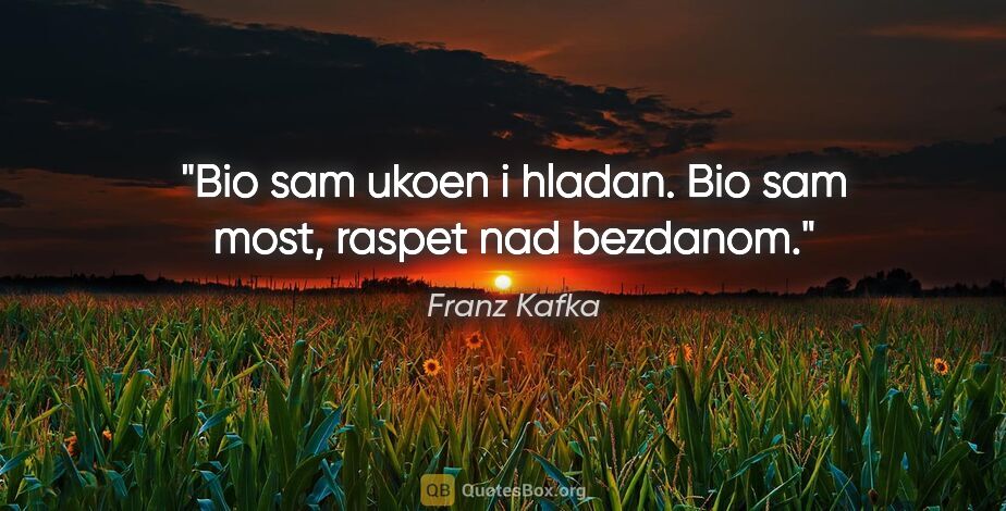 Franz Kafka quote: "Bio sam ukoen i hladan. Bio sam most, raspet nad bezdanom."