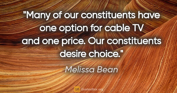 Melissa Bean quote: "Many of our constituents have one option for cable TV and one..."